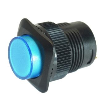 Drucktaster - Klingeltaster mit LED Beleuchtung Blau Beleuchtet Typ R1394B/B